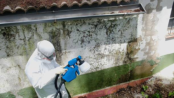 Top rated local Crawl Space Mold Removal specialists in Marion, PA